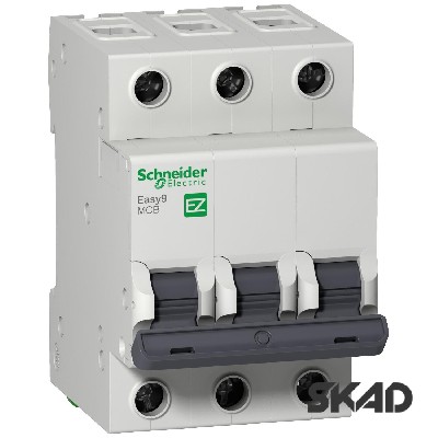   3, 6,  , EZ9 Schneider Electric EZ9F34306