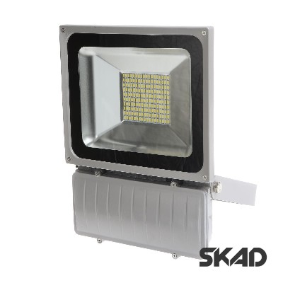   LED  IP65  Brille HL-25/100W SMD NW